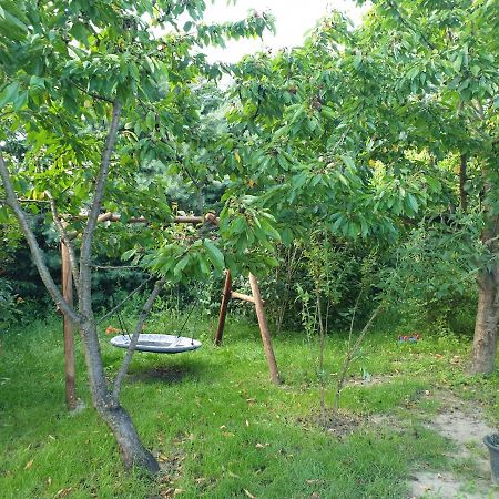 Отель Domek Letniskowy W Zieleni Blisko Jeziora Sredzkiego Сьрода-Велькопольска Экстерьер фото