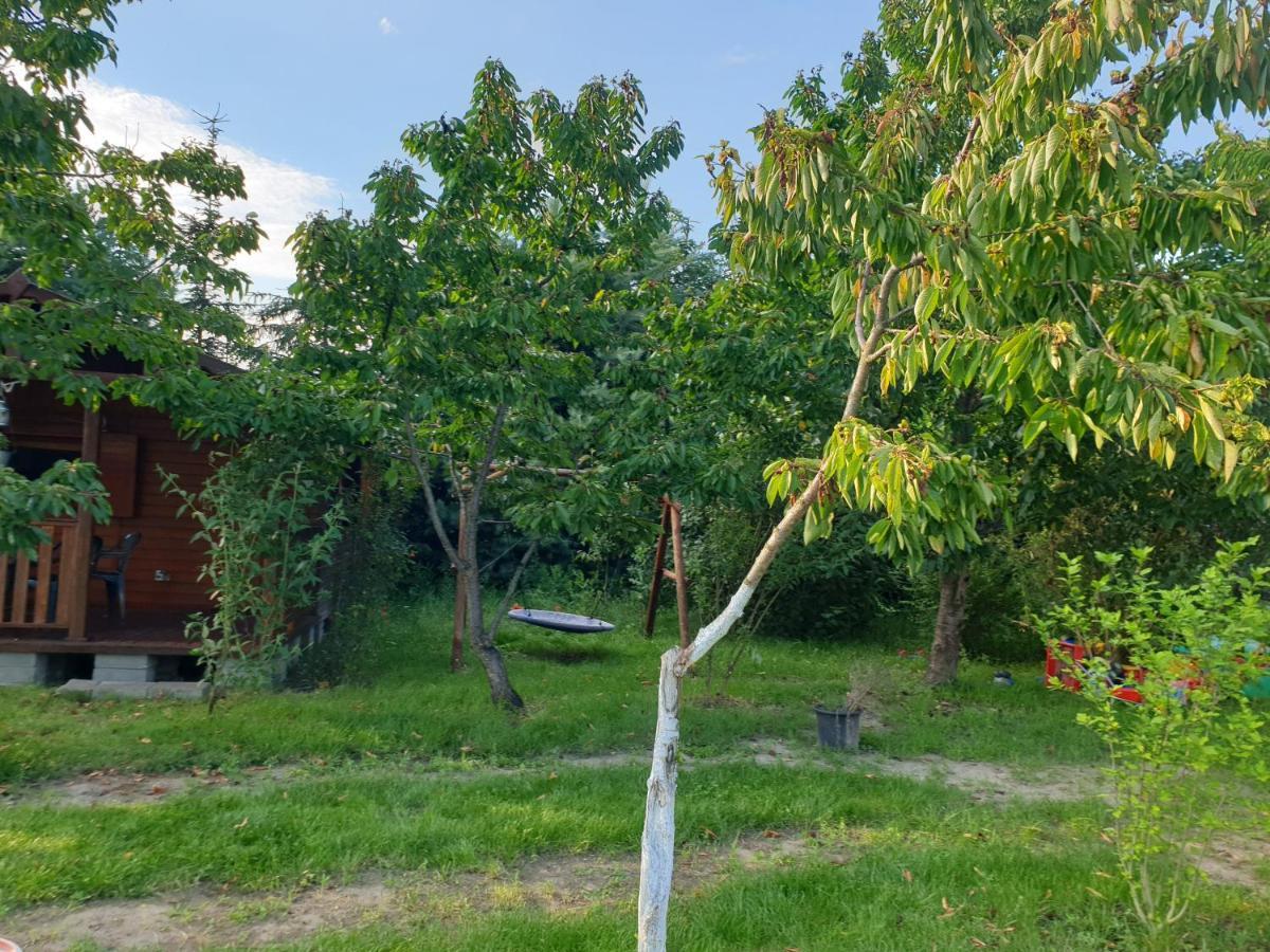Отель Domek Letniskowy W Zieleni Blisko Jeziora Sredzkiego Сьрода-Велькопольска Экстерьер фото